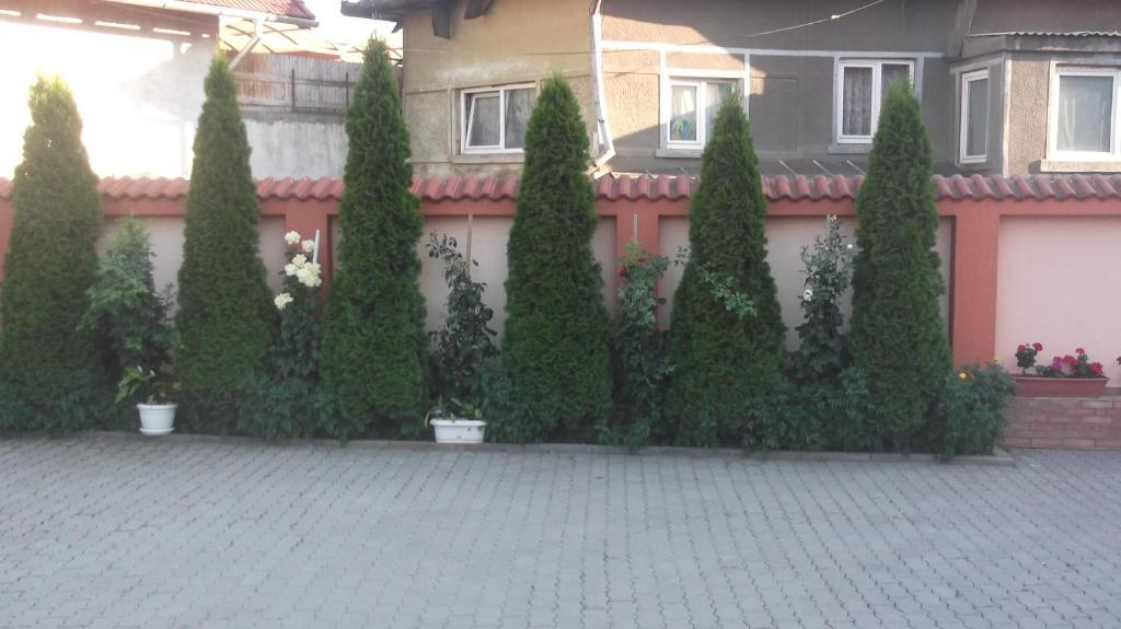 Pensiunea Neptun Alba Iulia Bagian luar foto